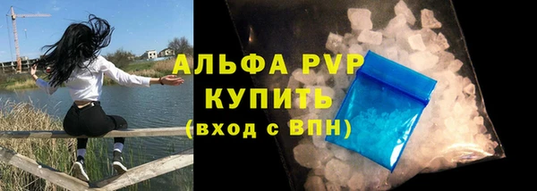 PSILOCYBIN Вязьма