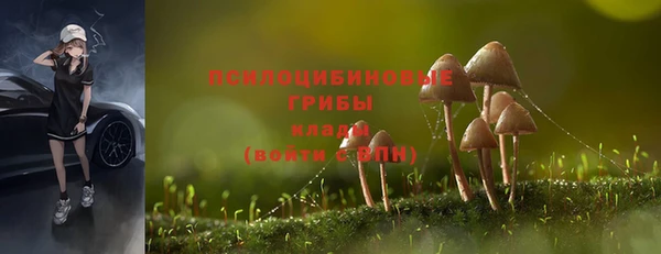 кокаин премиум Вяземский