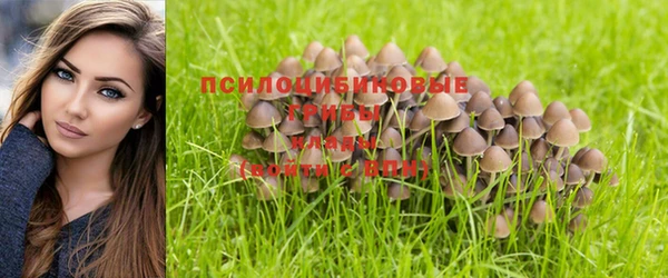 прущая мука Вязники