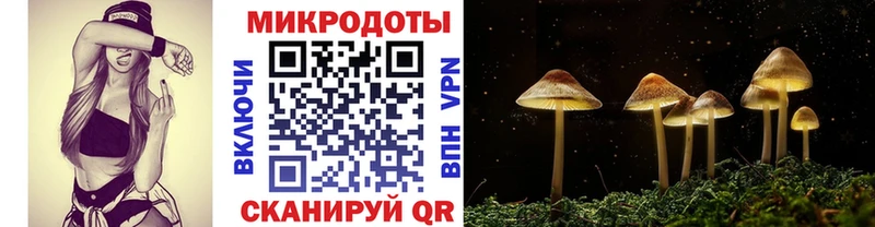 KRAKEN ссылки  Инза  Галлюциногенные грибы Psilocybine cubensis 